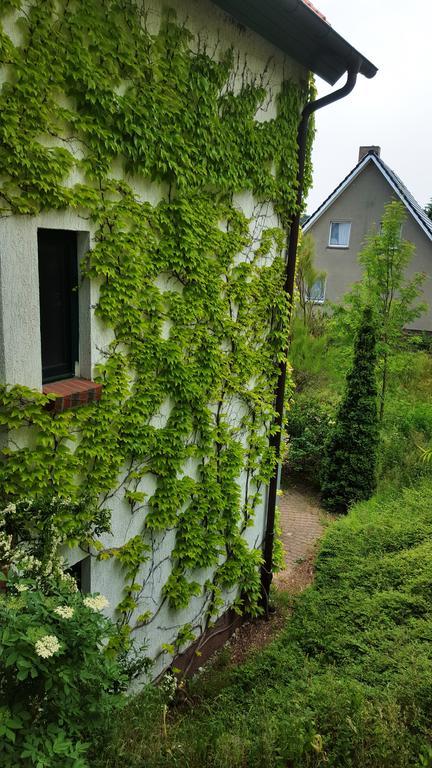 Haus Seefeld Uckeritz Esterno foto